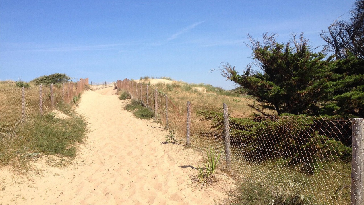 Photo of Others in La Faute-sur-Mer