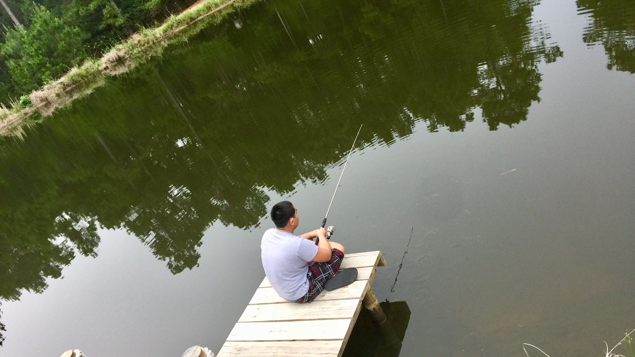 Photo of Others in La Grange