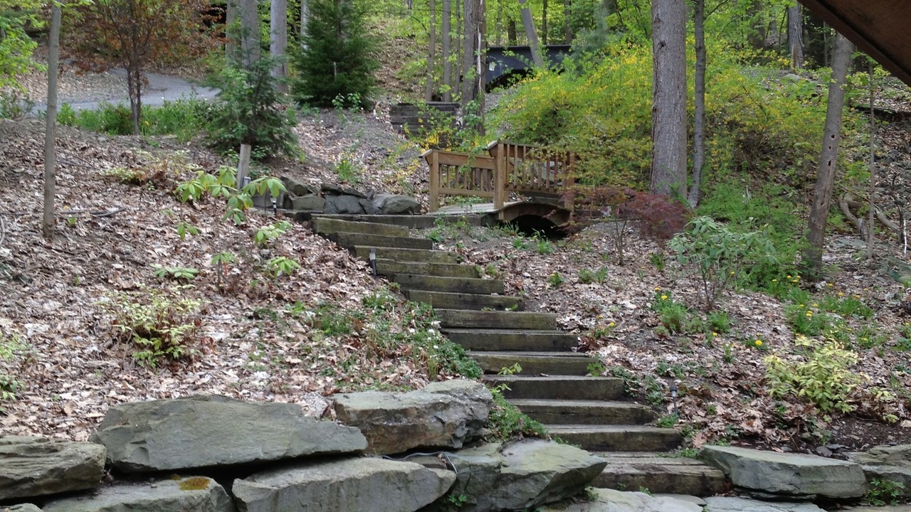 Photo of Outdoor in Northwest Ithaca