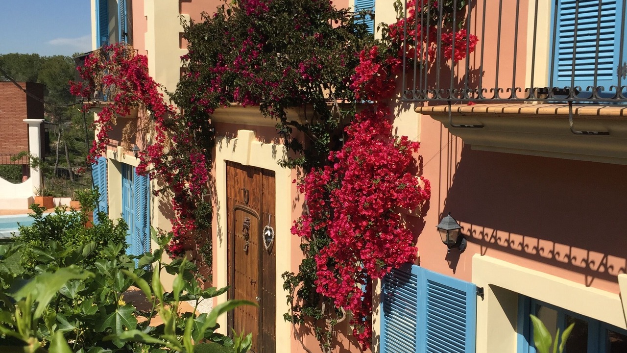 Photo of Outdoor in Olivella