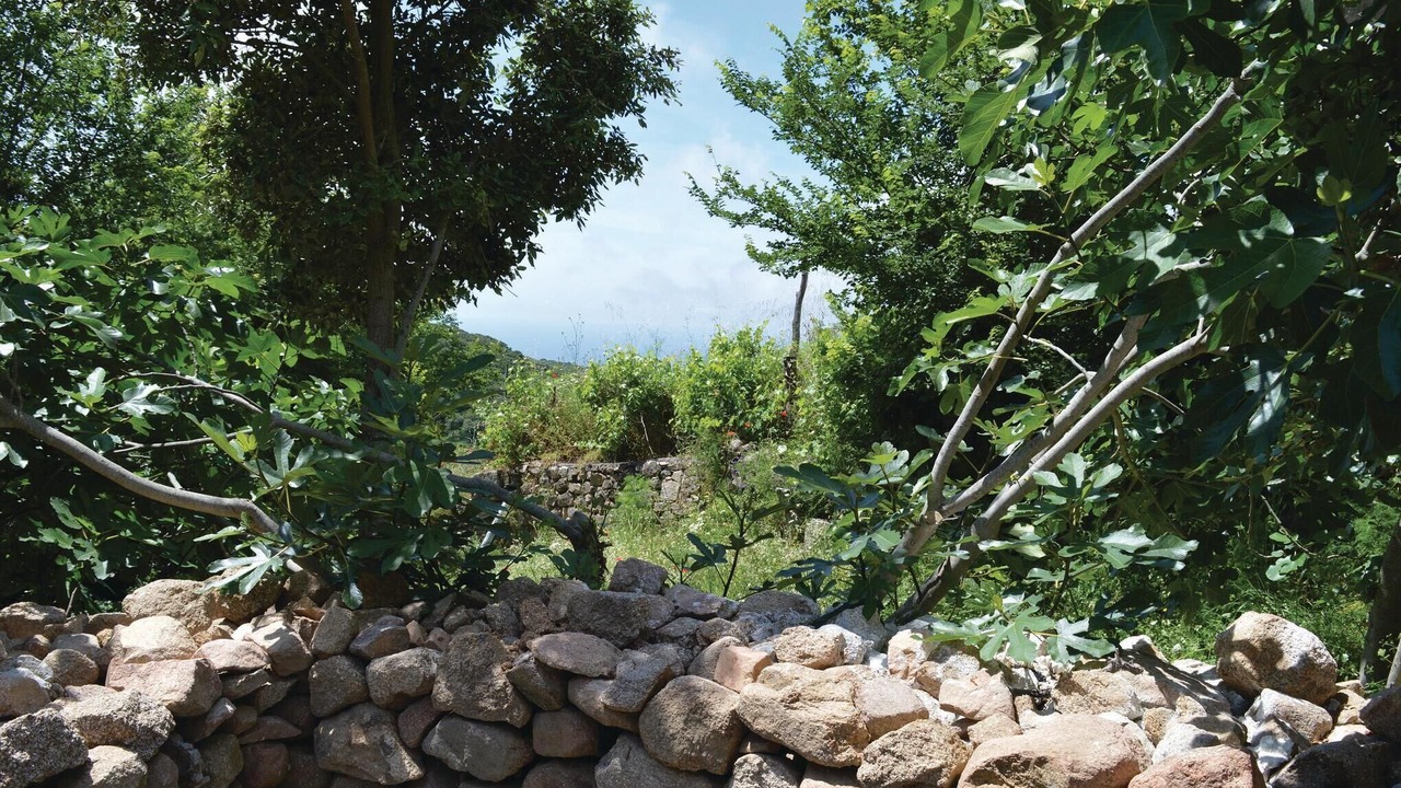Photo of Bedroom in Coti-Chiavari