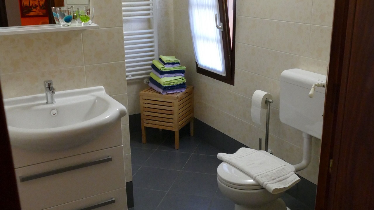 Photo of Bathroom in Bribir
