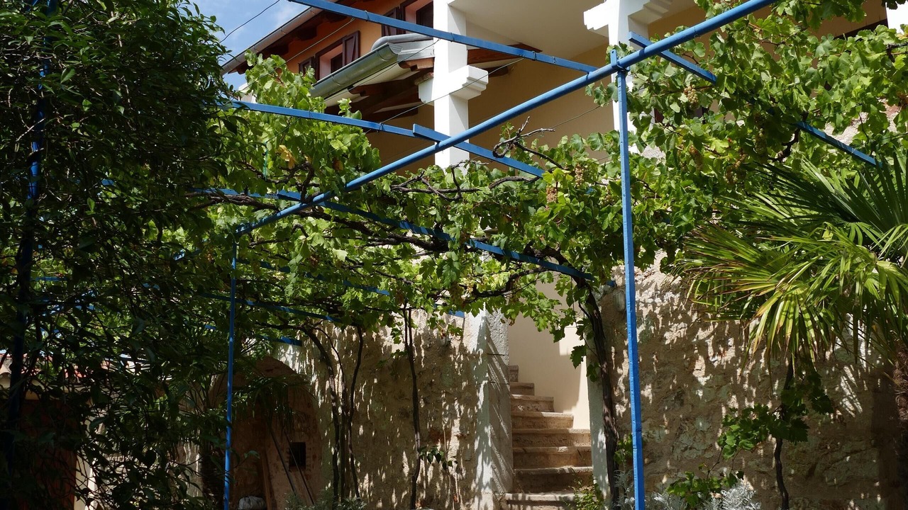 Photo of Outdoor in Bribir