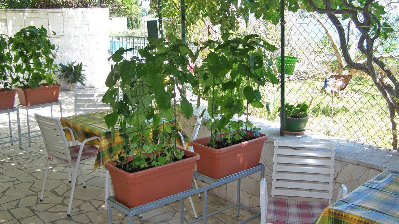 Photo of Outdoor in Seget Vranjica