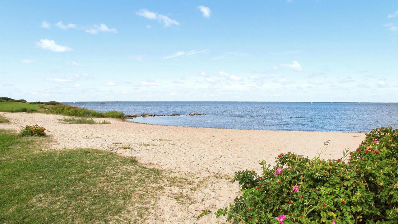 Photo of Others in Bork Havn