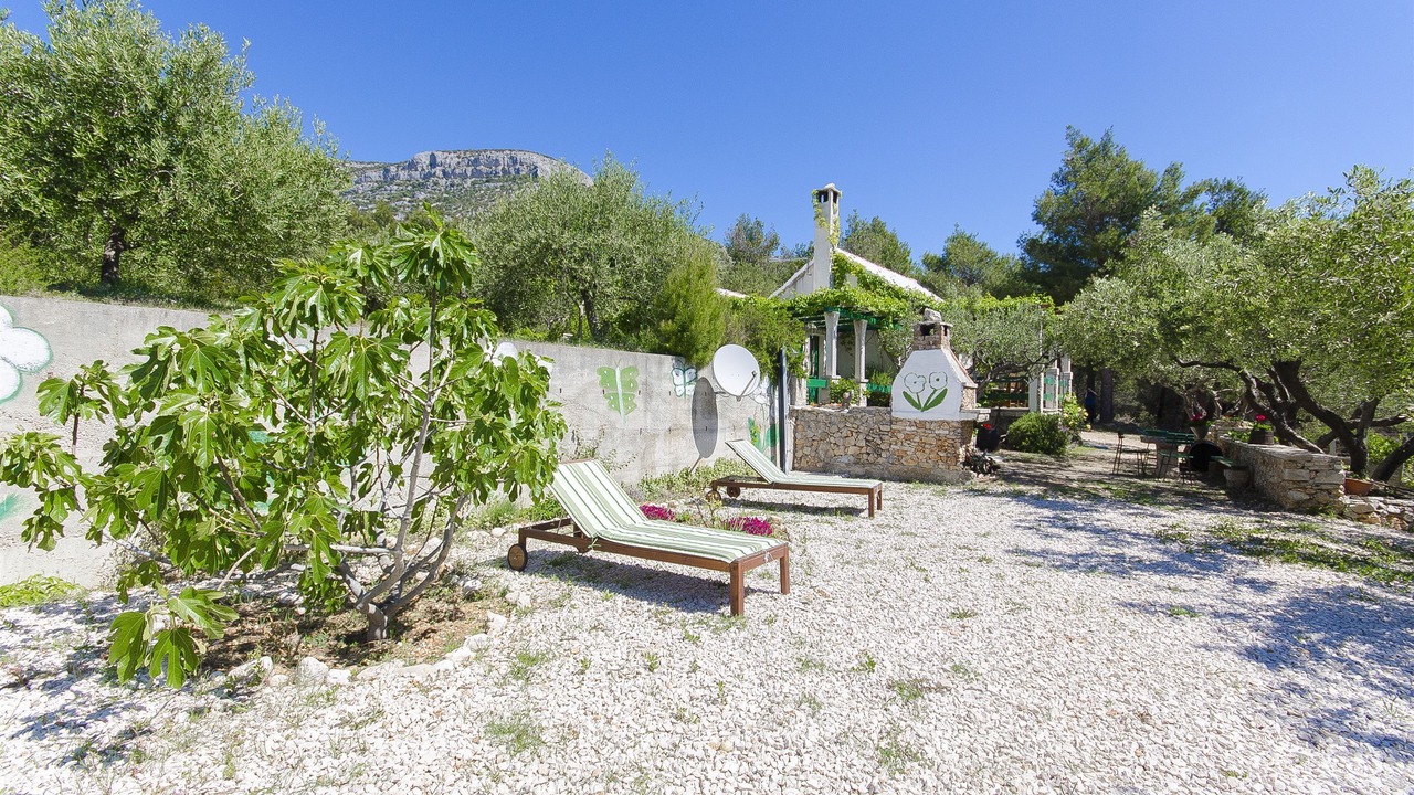 Photo of Outdoor in Bol