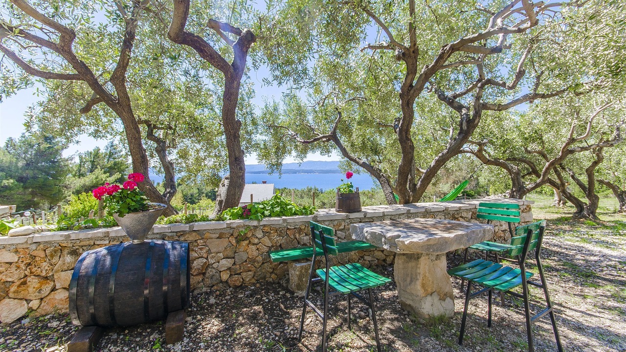 Photo of Outdoor in Bol
