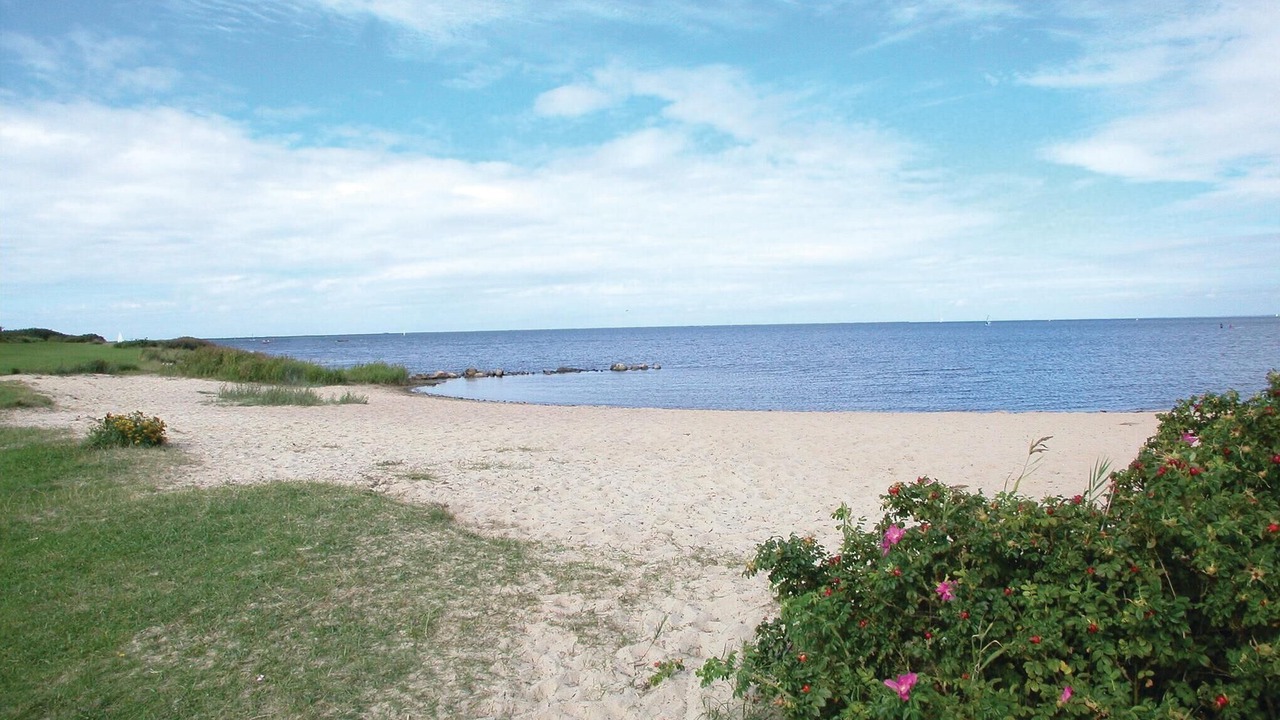 Photo of Others in Falen