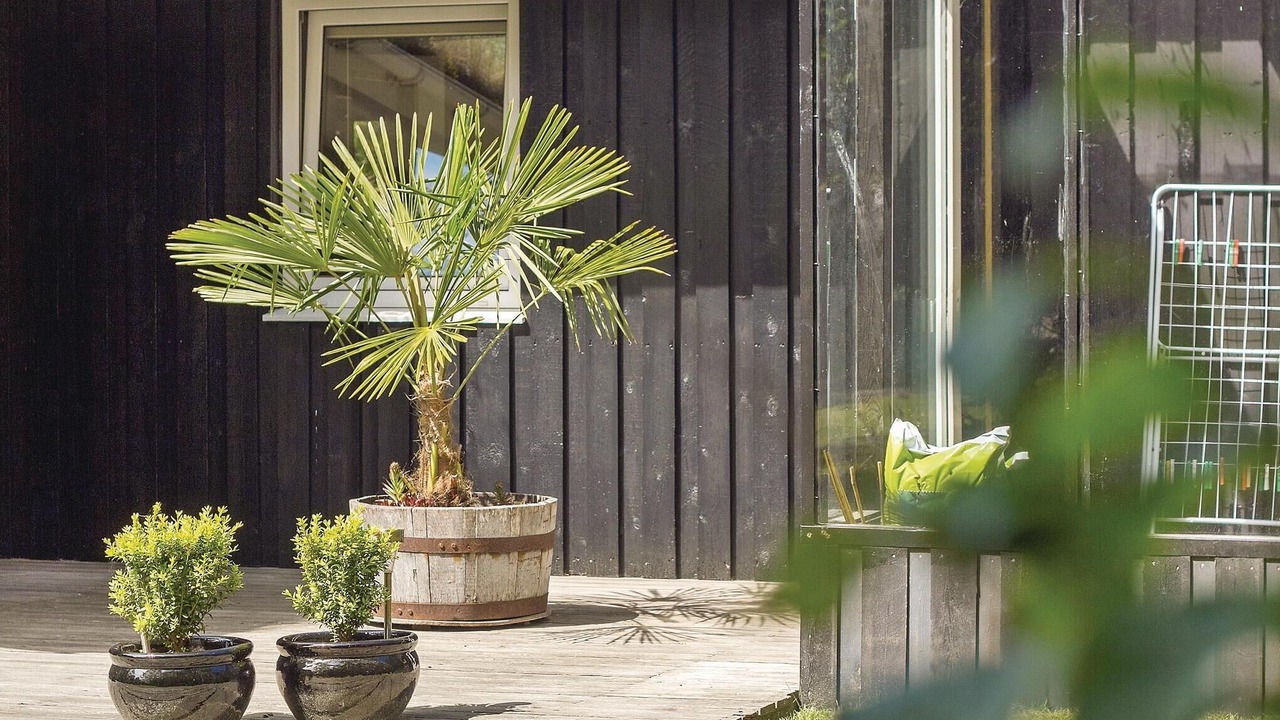 Photo of Others in Blokhus