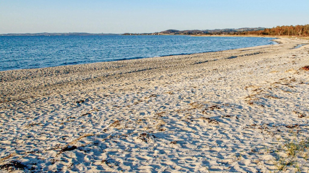 Photo of Others in Lyngsbæk Strand