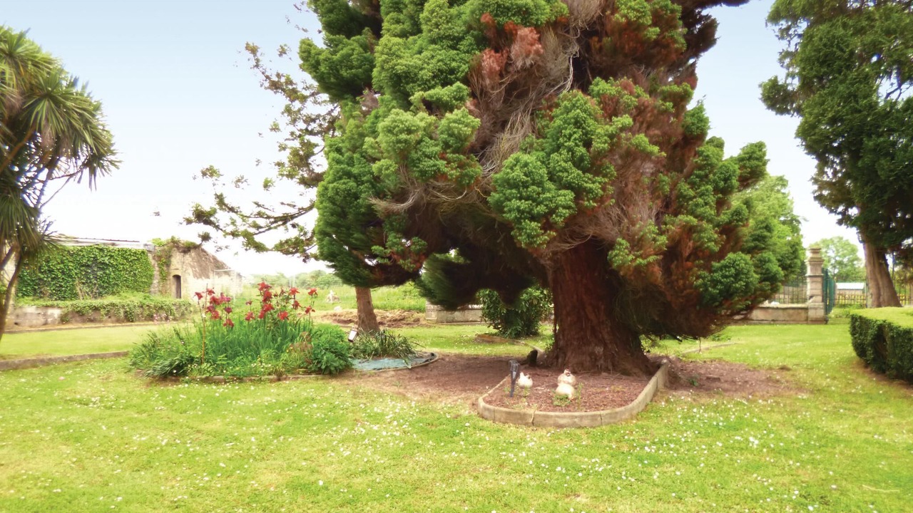 Photo of Others in Valognes