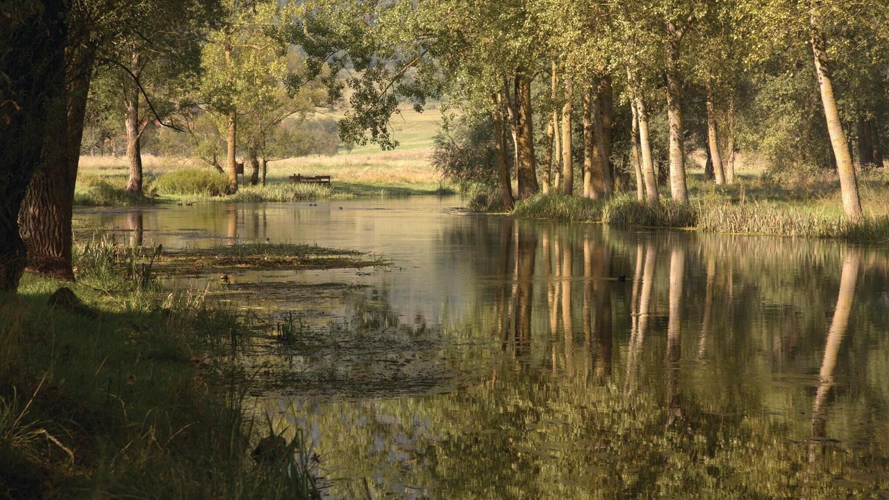 Photo of Others in Licko Lesce