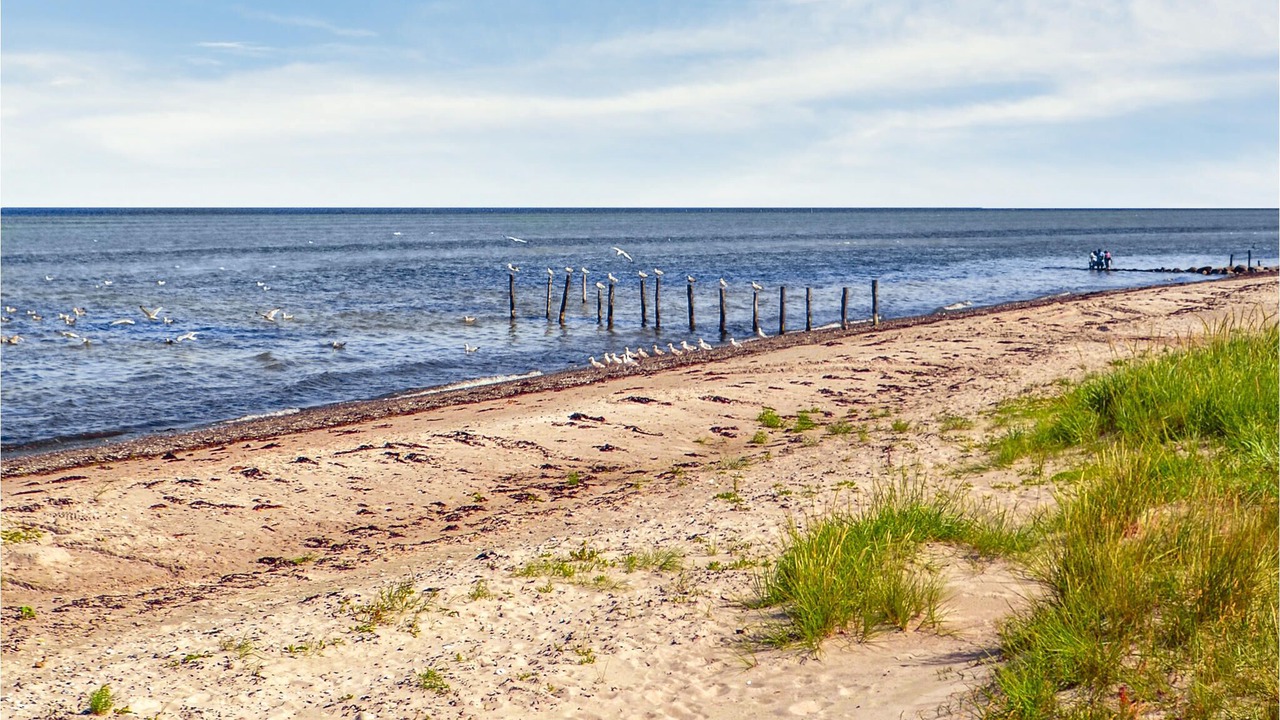 Photo of Others in Fjellerup Strand