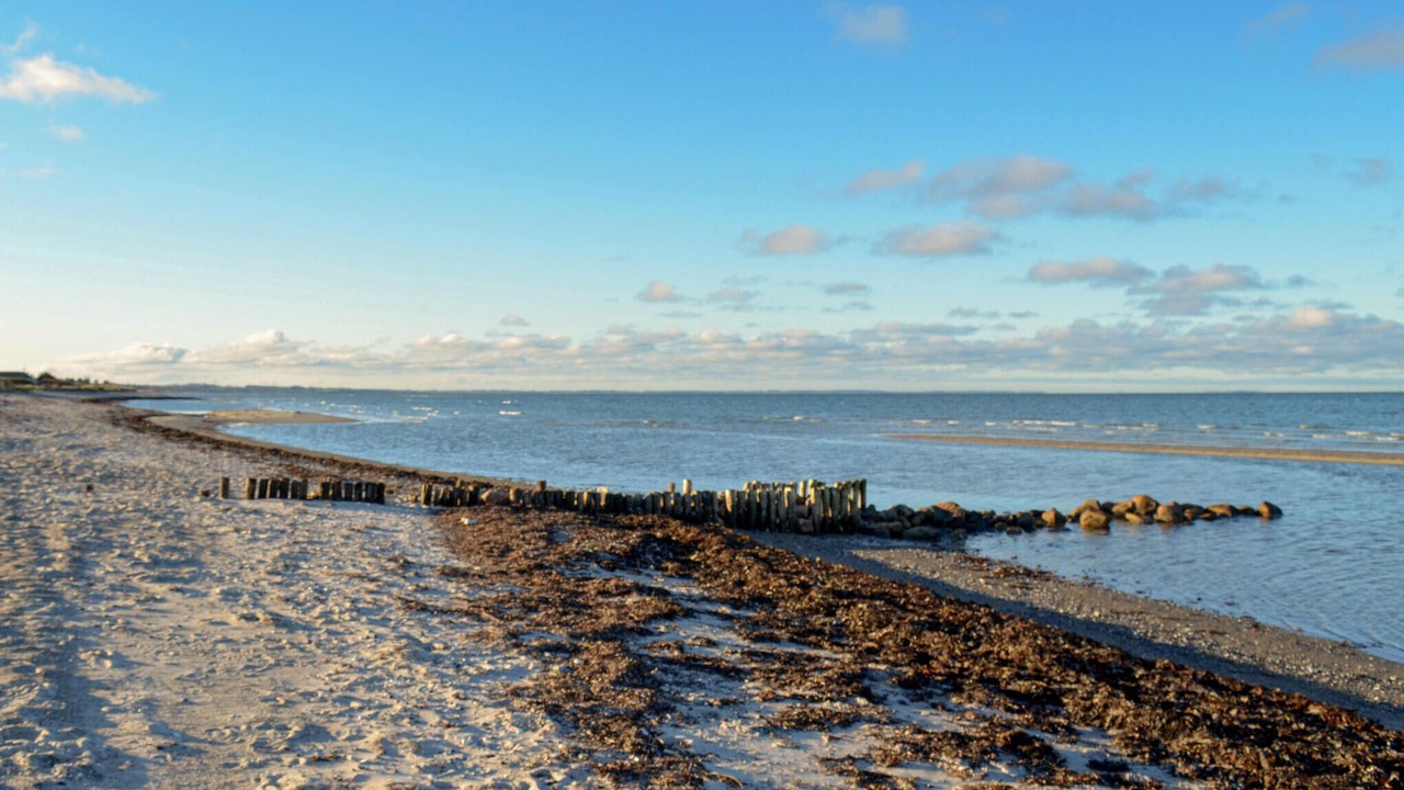 Photo of Others in Fjellerup Strand