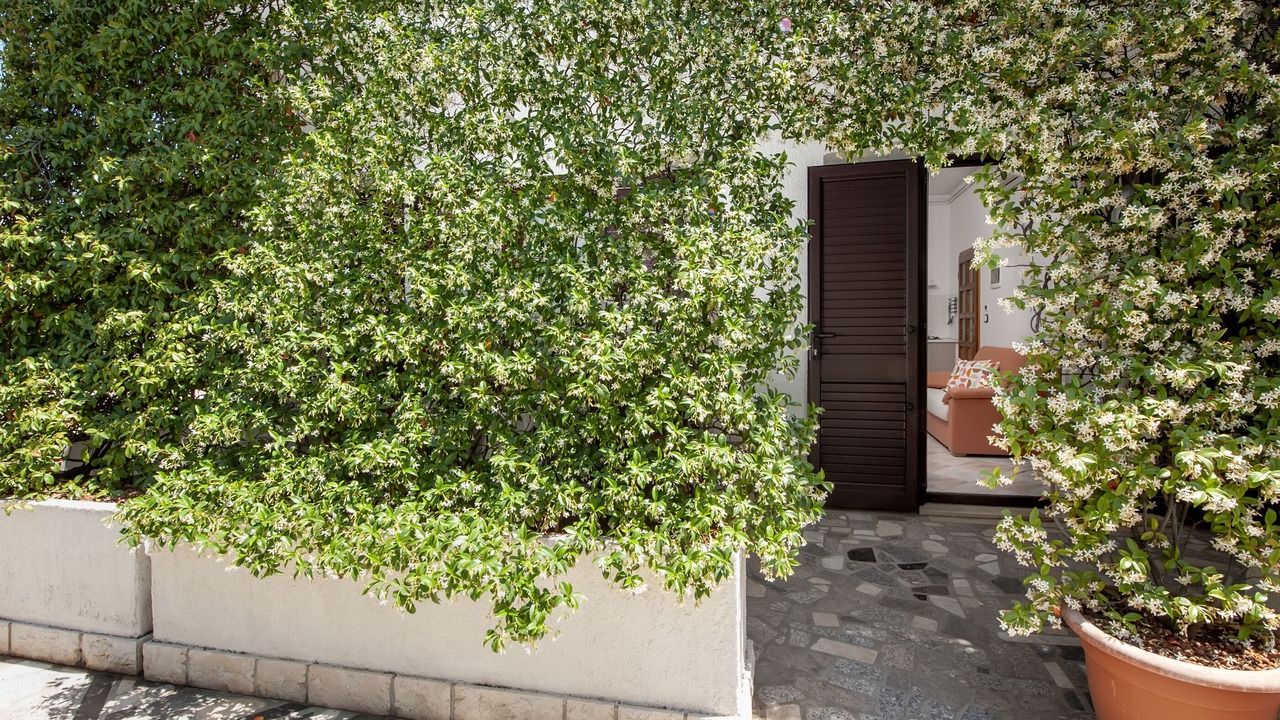 Photo of Outdoor in Rovinj