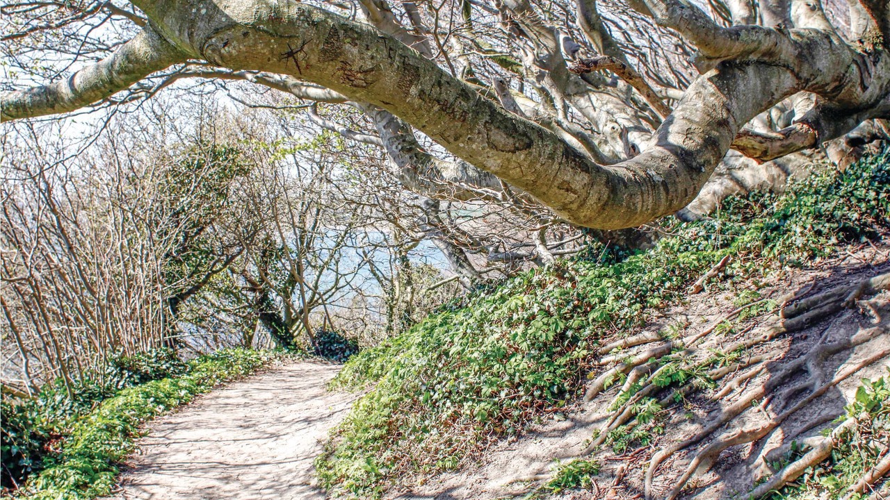 Photo of Others in Ebeltoft