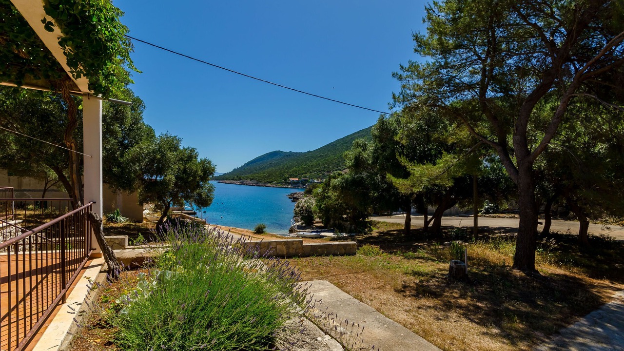 Photo of Outdoor in Pokrivenik