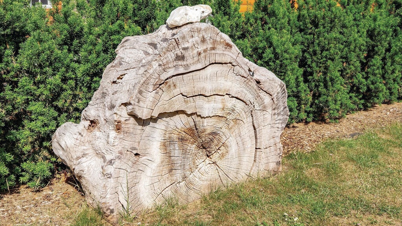 Photo of Others in Kalundborg
