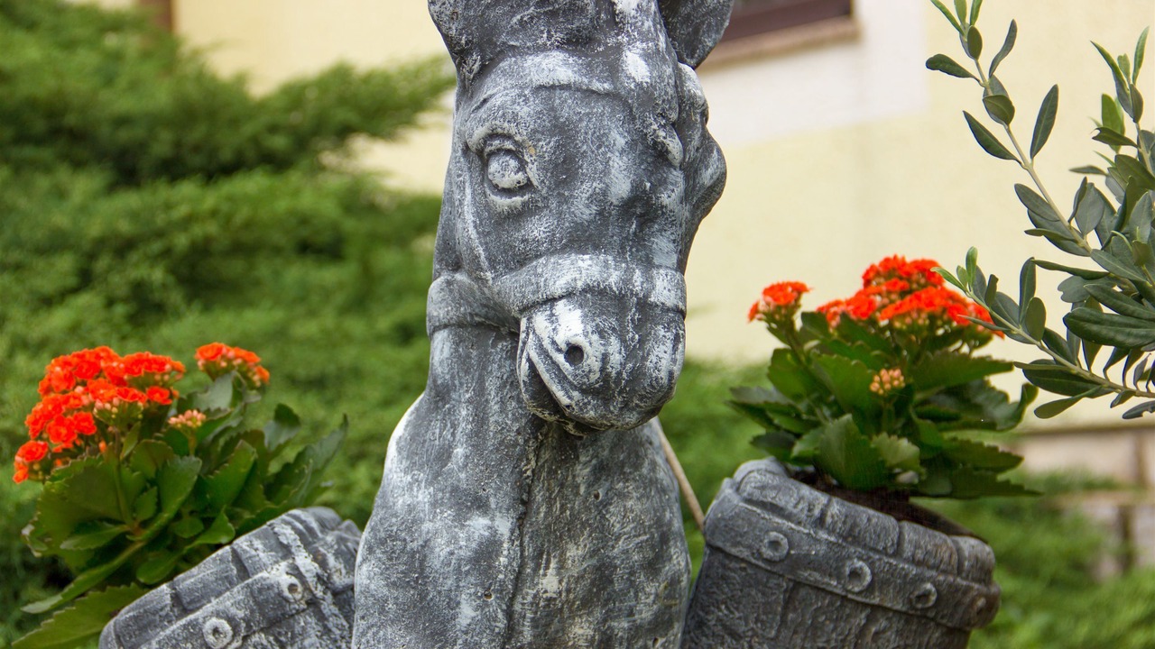 Photo of Outdoor in Senj