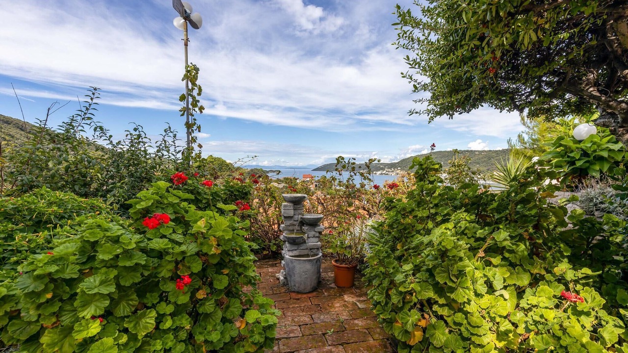Photo of Outdoor in Supetarska Draga