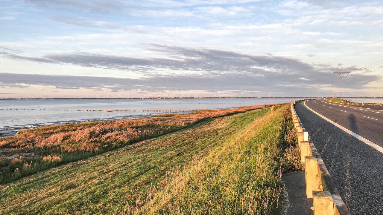 Photo of Others in Skaerbaek