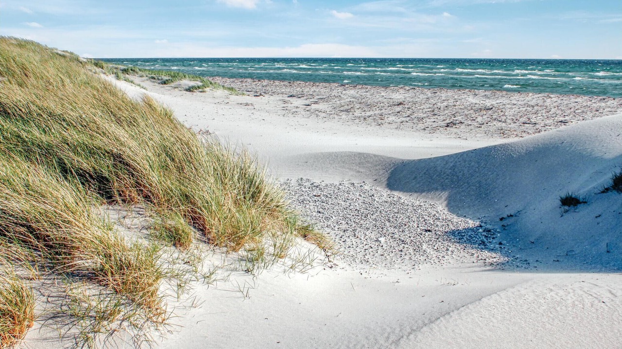 Photo of Others in Øer Strand