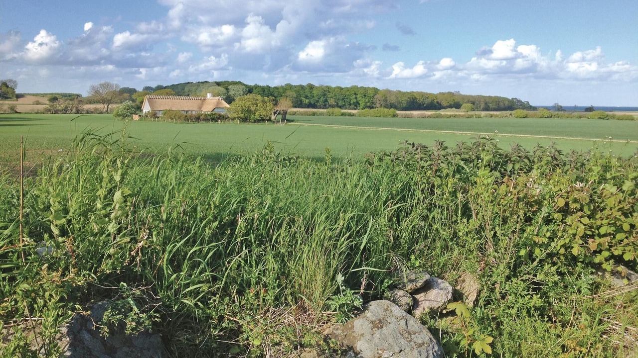 Photo of Others in Østerskov
