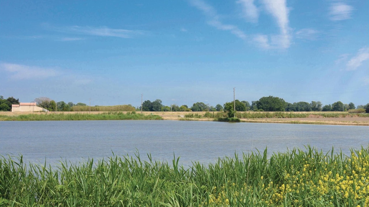 Photo of Others in Le Sambuc