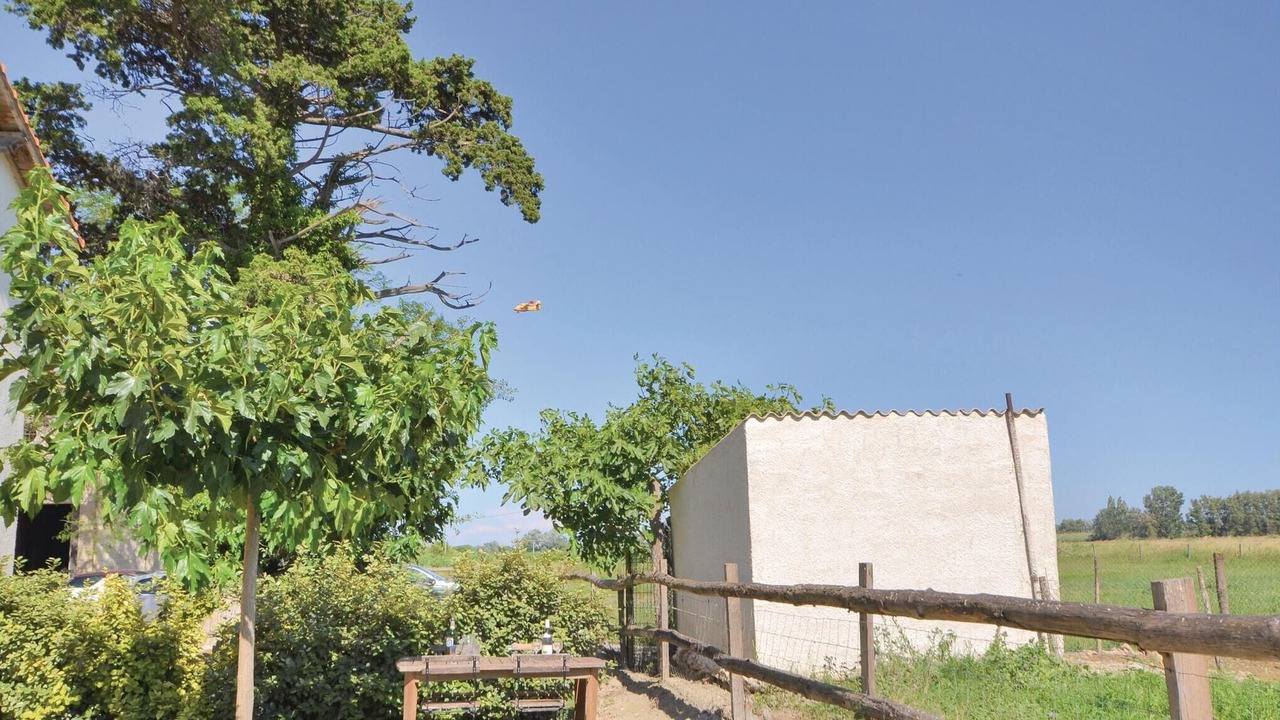 Photo of Others in Le Sambuc