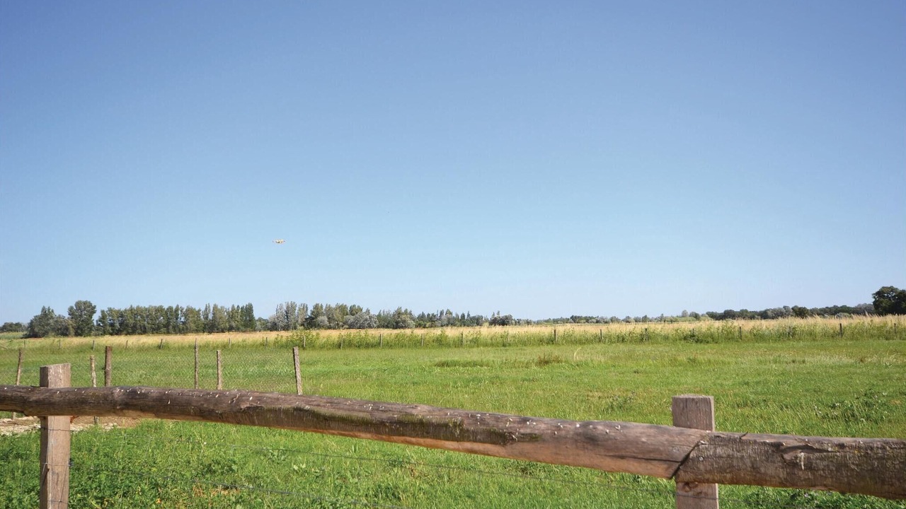 Photo of Others in Le Sambuc