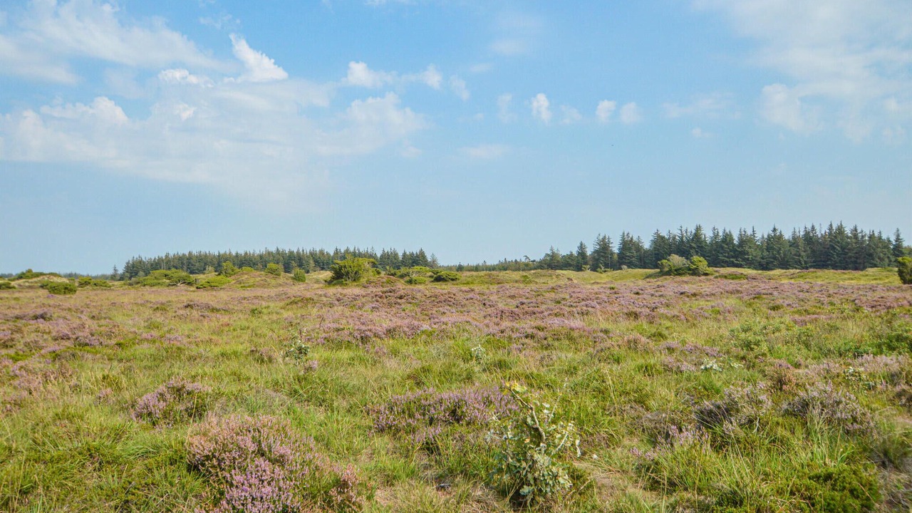 Photo of Others in Arrild Ferieby