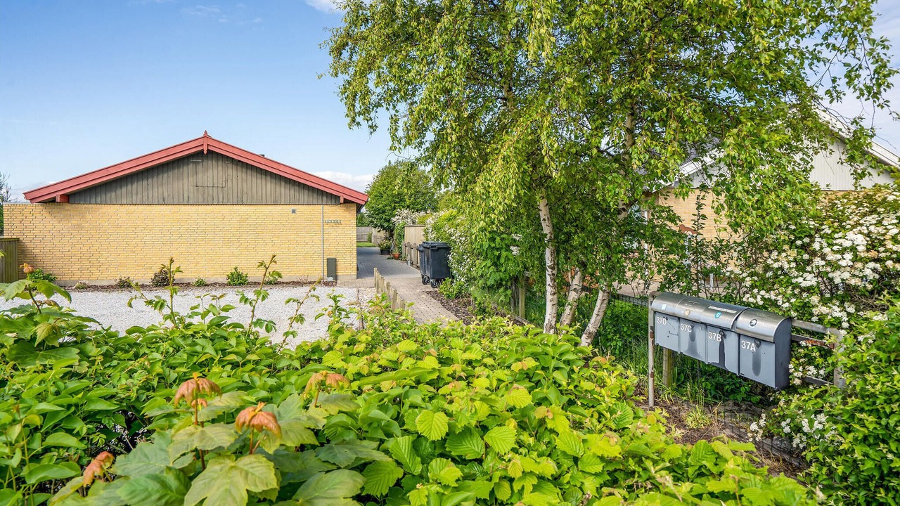 Photo of Outdoor in Skagen