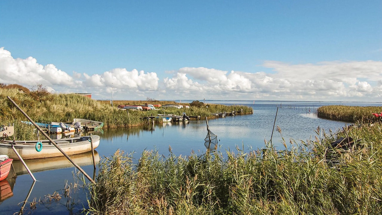 Photo of Others in Haurvig