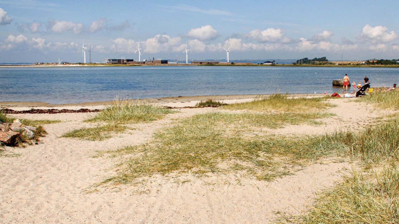 Photo of Others in Øer Strand