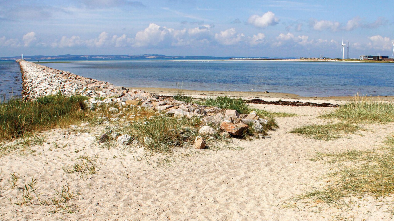 Photo of Others in Øer Strand