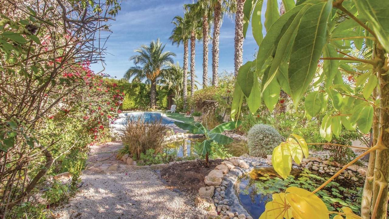 Photo of Outdoor in Los Dolses