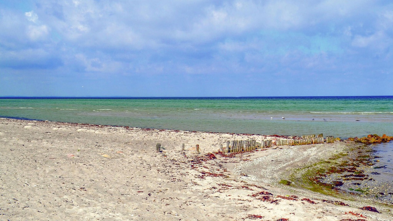 Photo of Others in Fjellerup Strand