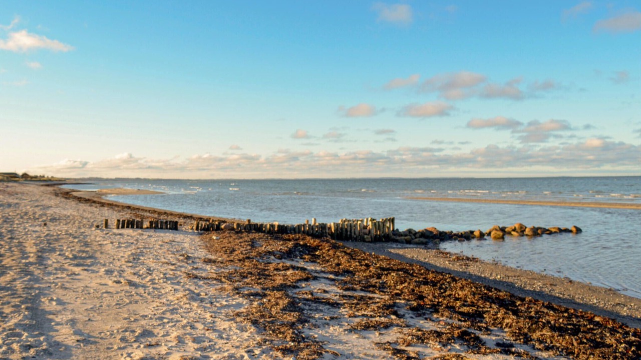 Photo of Others in Fjellerup Strand
