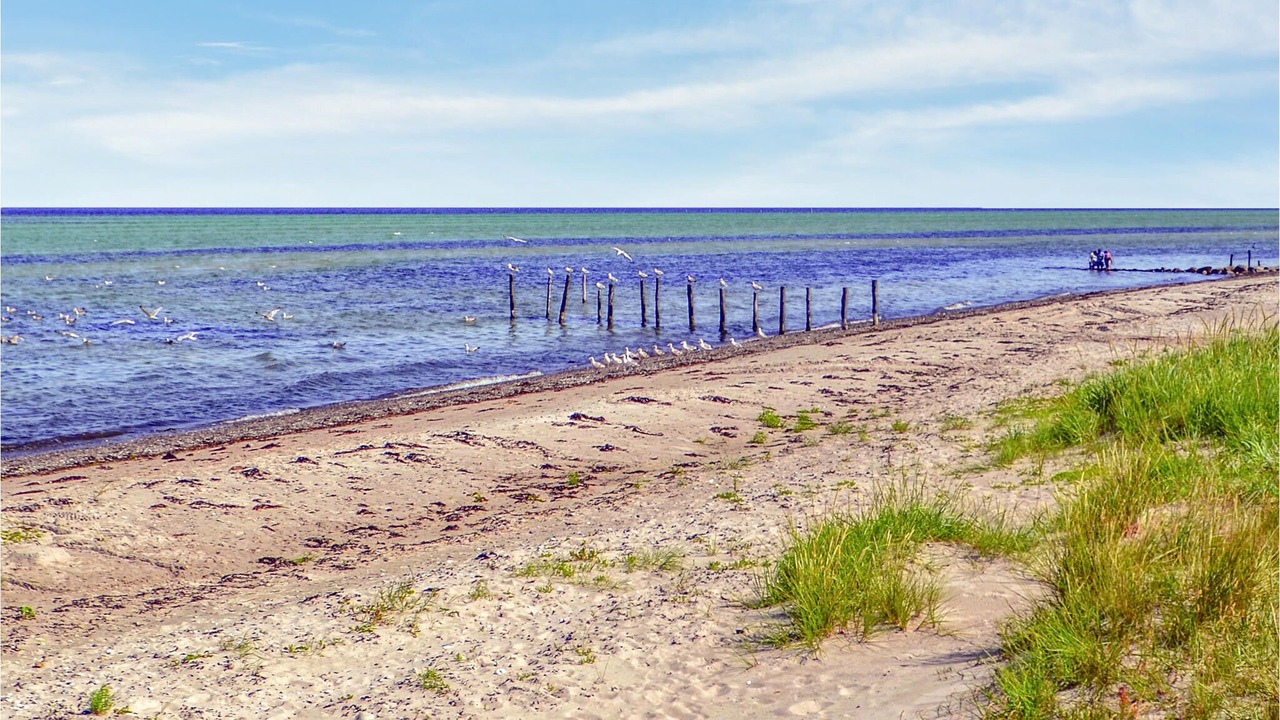 Photo of Others in Fjellerup Strand