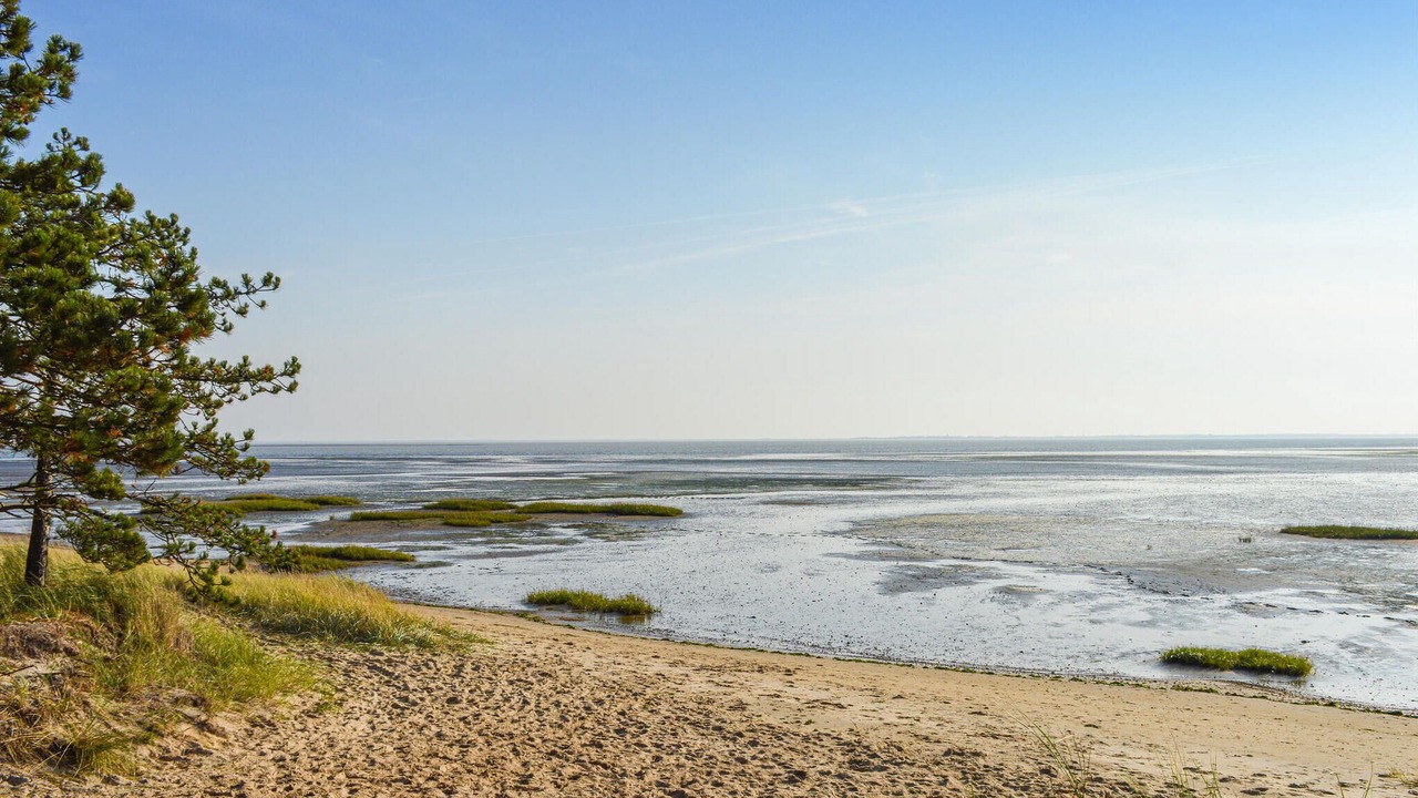 Photo of Others in Rømø Kirkeby