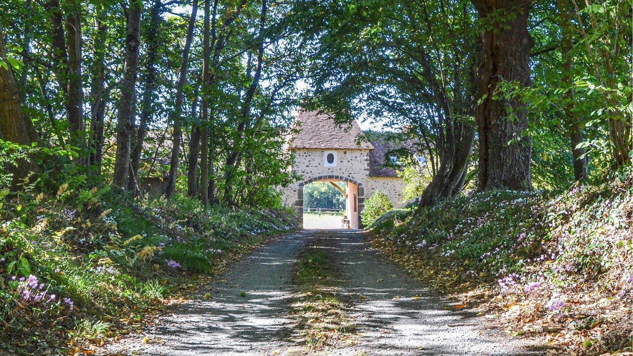 Photo of Others in Domfront-en-Champagne