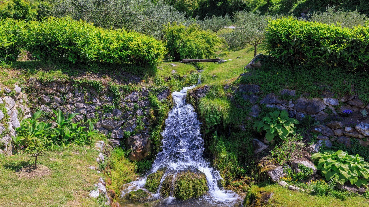 Photo of Others in Plomin