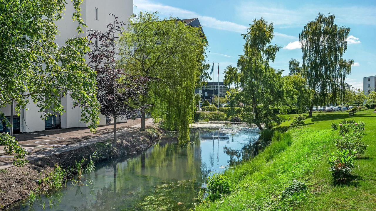 Photo of Others in Kronborg