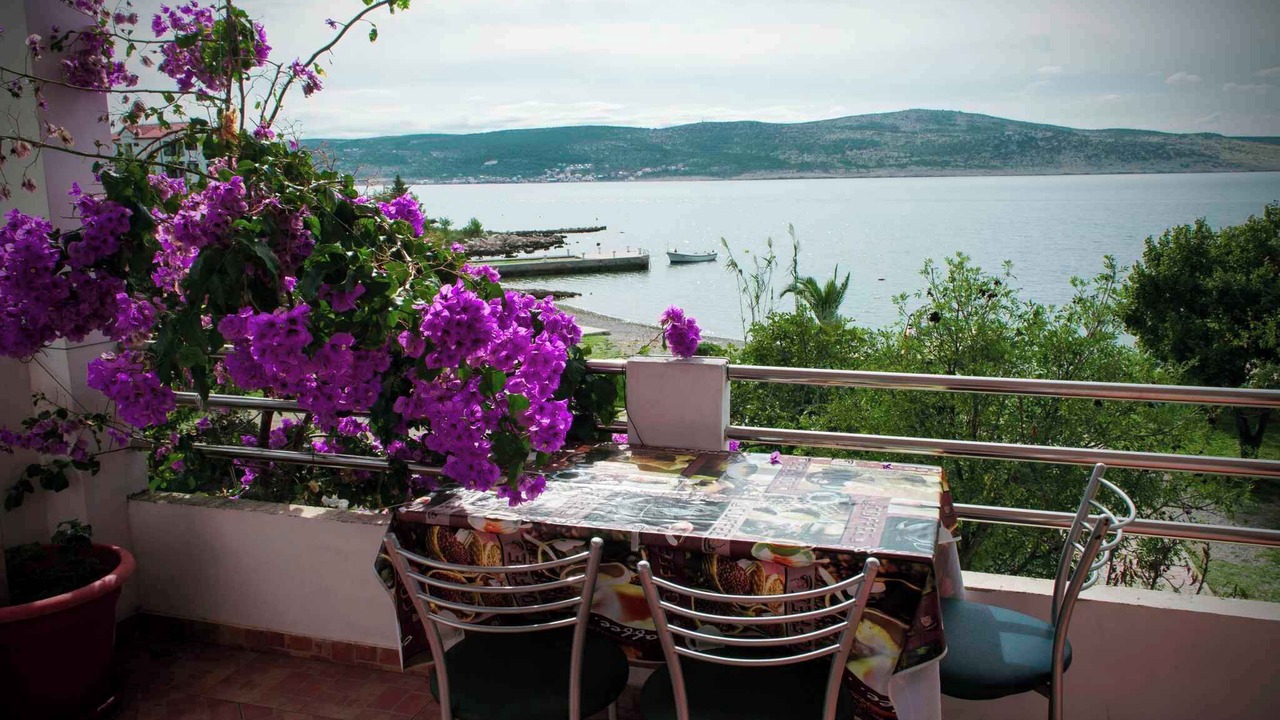 Photo of Outdoor in Seline