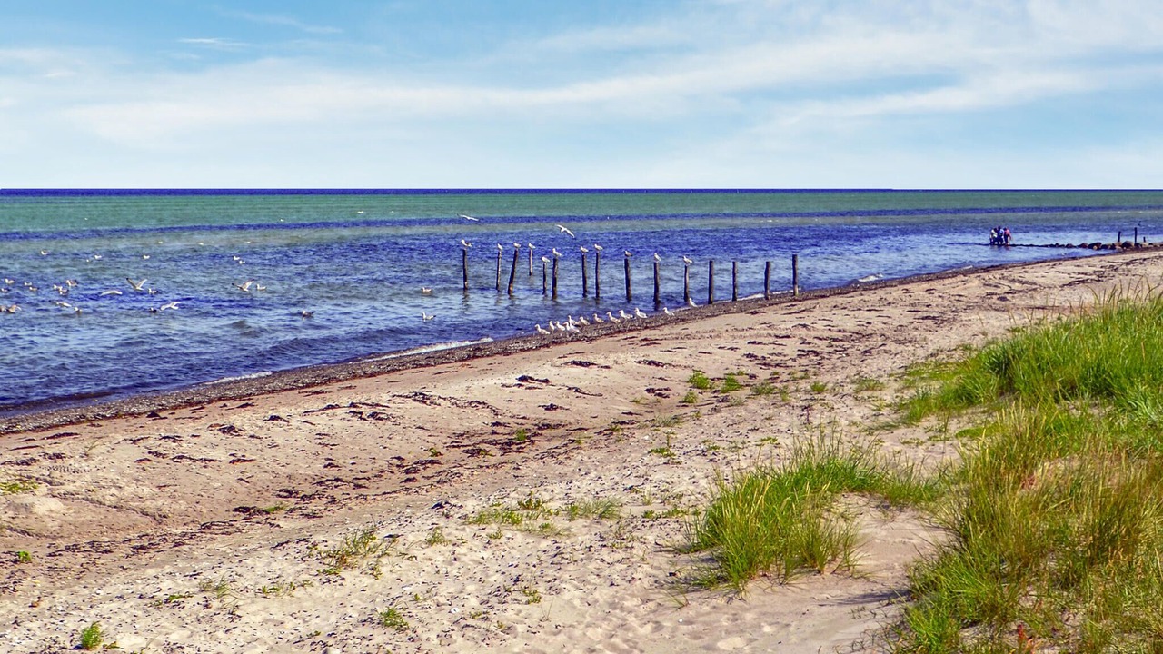 Photo of Others in Fjellerup Strand