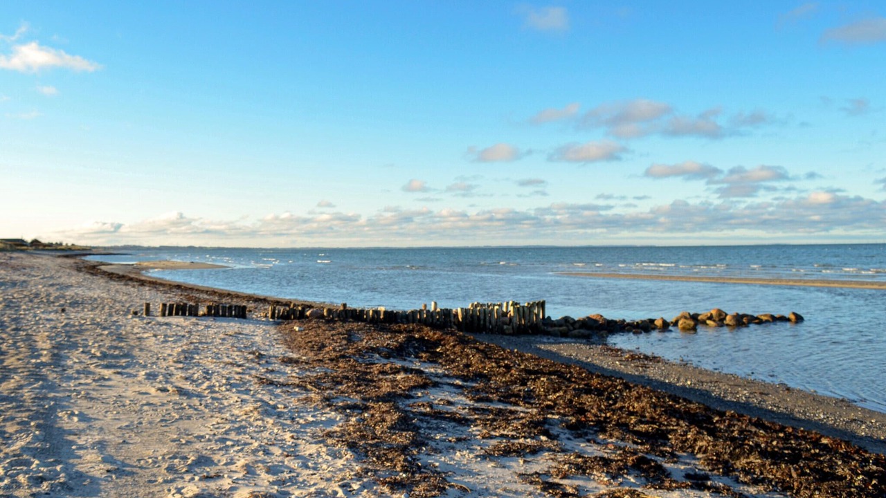 Photo of Others in Fjellerup Strand
