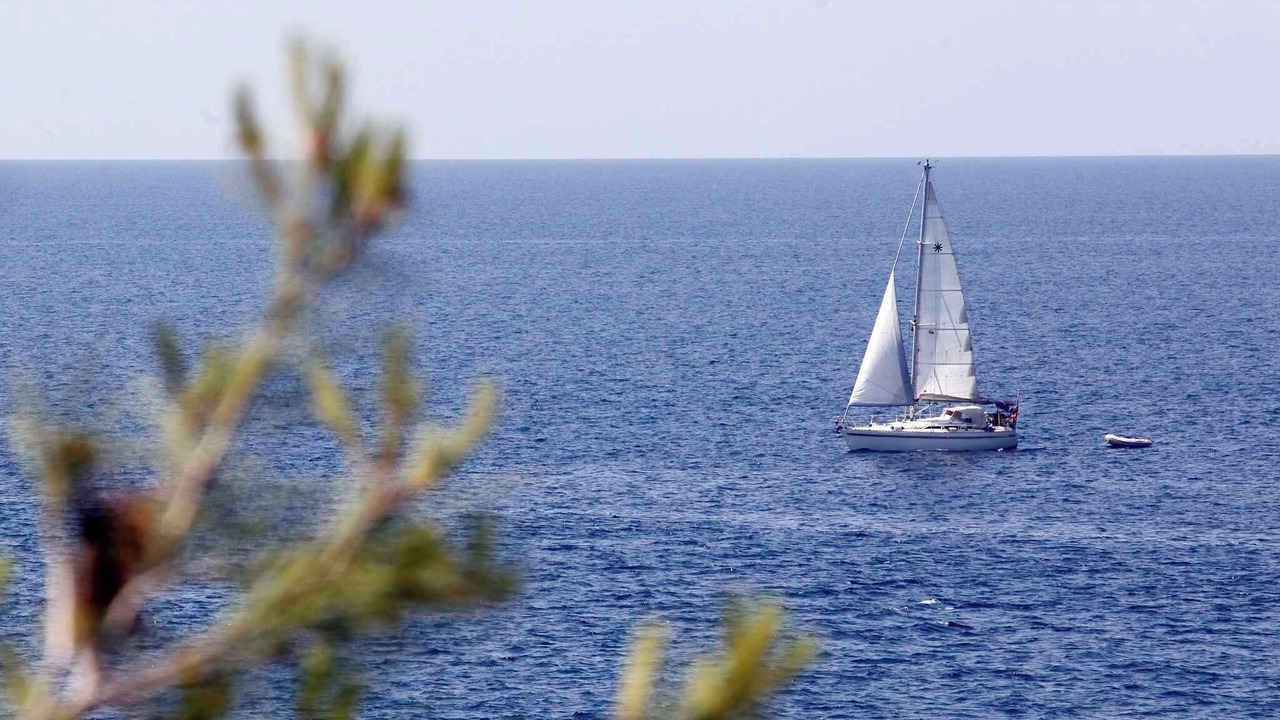 Photo of Others in Vintijan