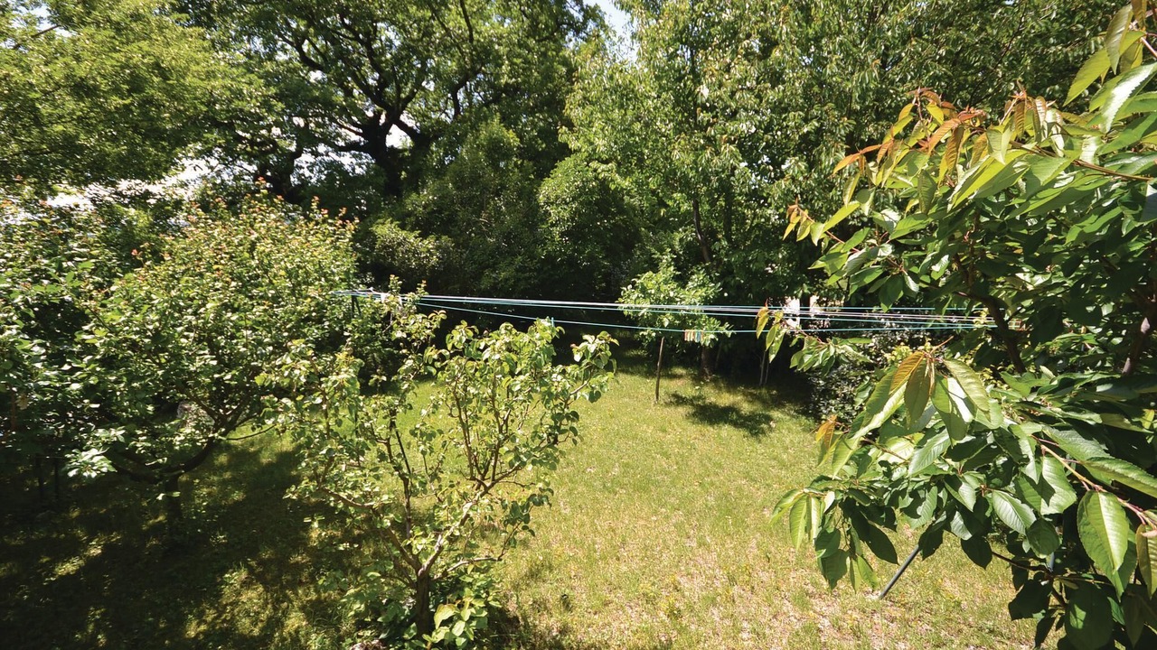 Photo of Others in Roynac