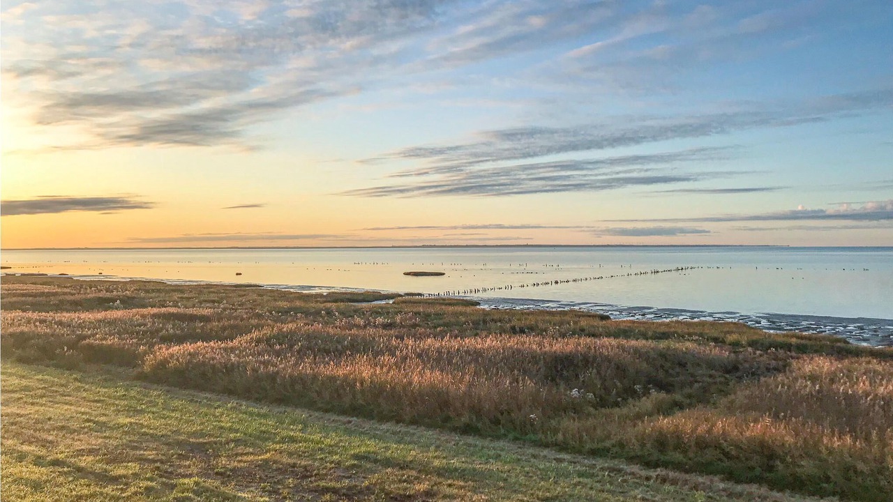 Photo of Others in Skaerbaek