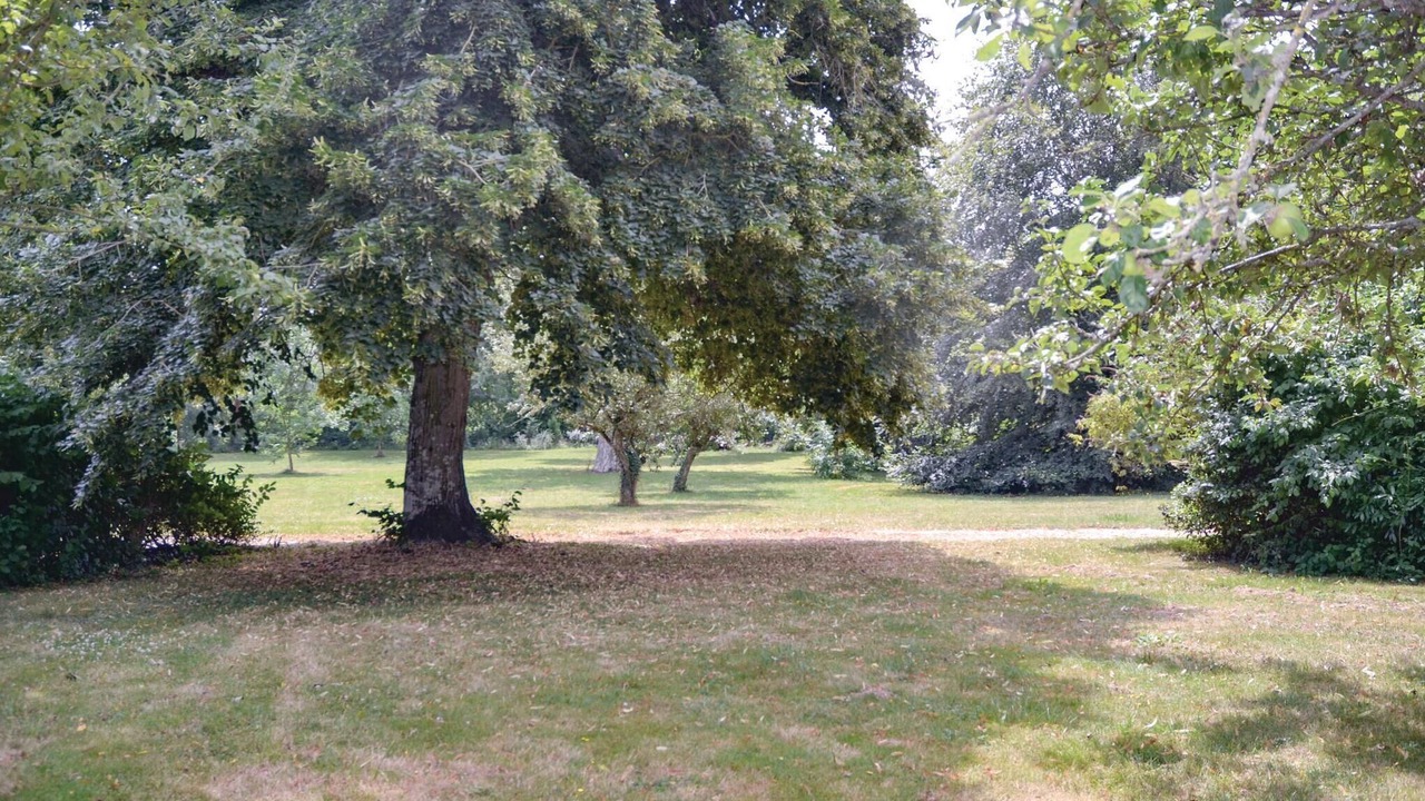 Photo of Others in Bouere